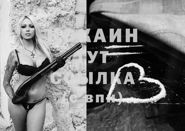спайс Алзамай