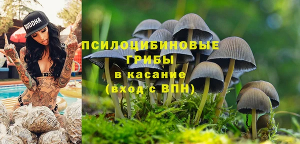 спайс Алзамай