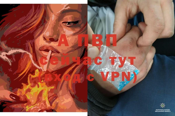 крисы Алексин