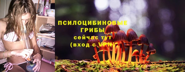 МДМА Алексеевка