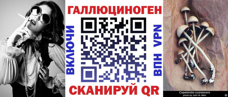 Псилоцибиновые грибы Cubensis Кирсанов