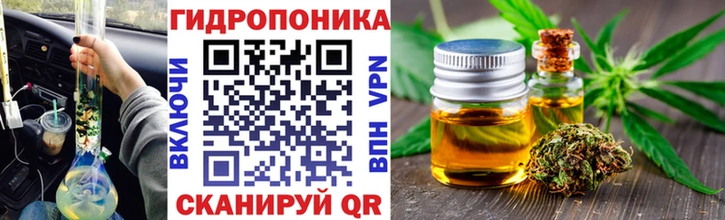 где можно купить наркотик  Кирсанов  Шишки марихуана OG Kush 